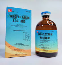 Bacterid 100ml (per ml)