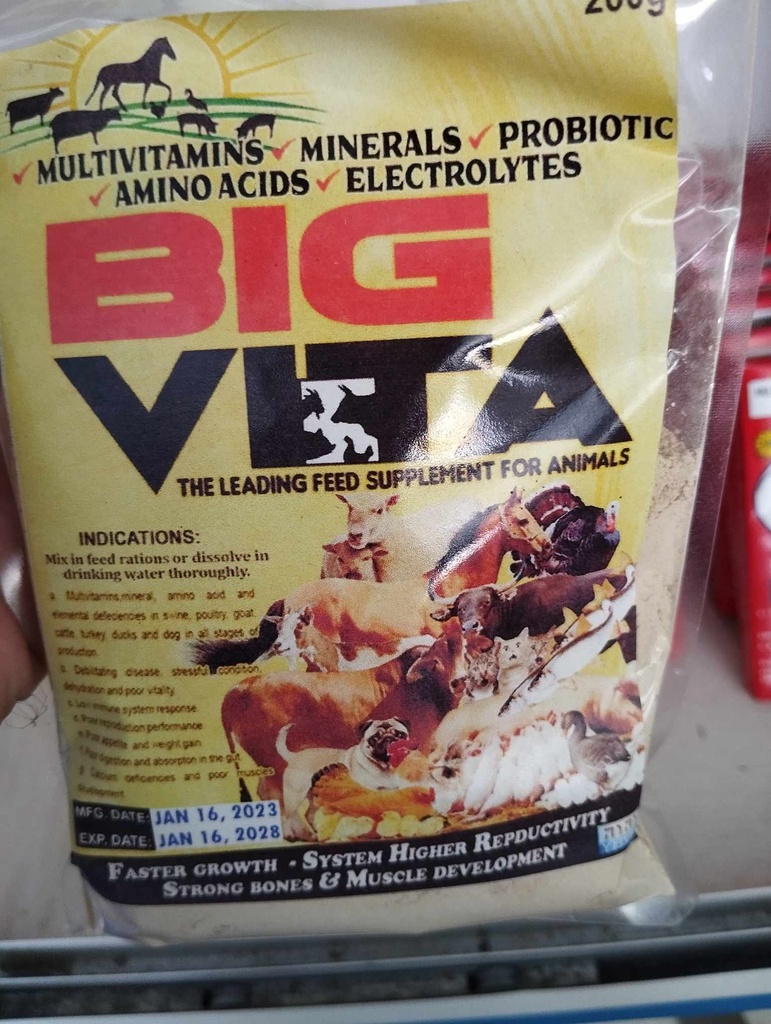 Big Vita