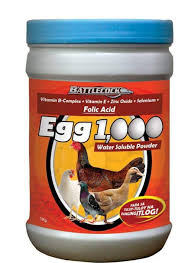 Egg 1000 Powder 1kg