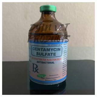 Gentamycin 100ml