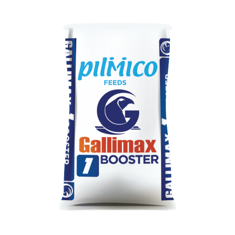 Pilmico Gallimax 1 (1Sack)