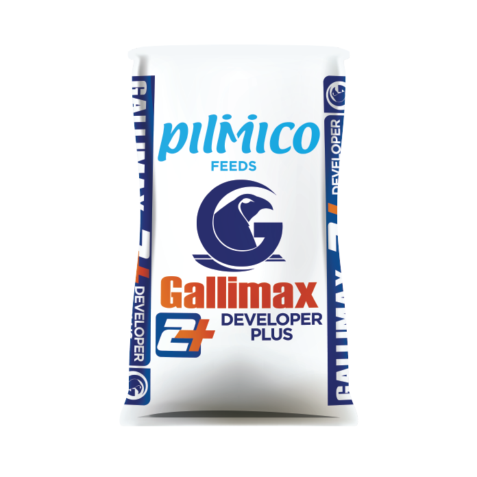 Pilmico Gallimax 2+ (1Sack)