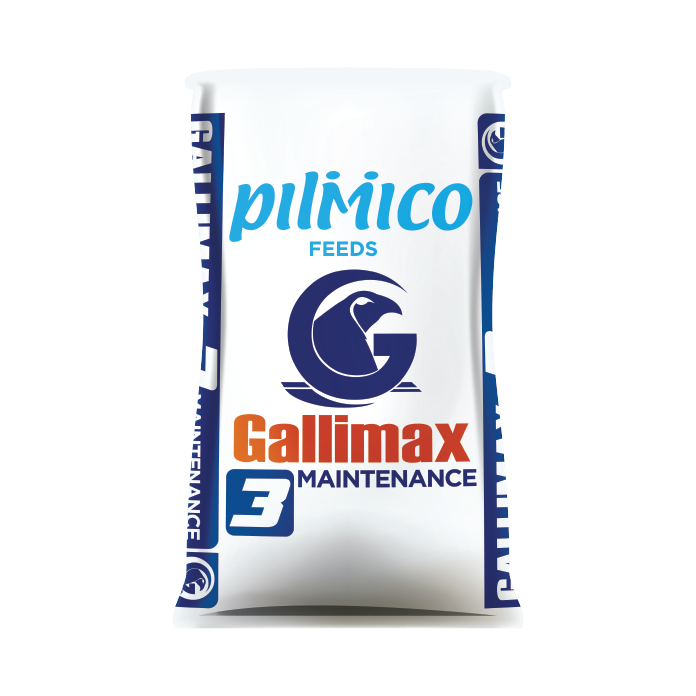 Pilmico Gallimax 3 (1Sack)