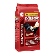 TB Enerton 1pack