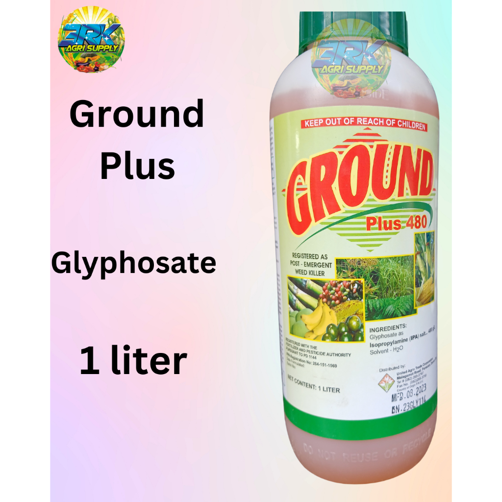 Ground Plus 1L