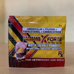 Panamox  Forte powder