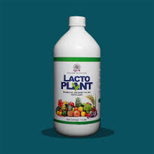 Lacto Plant 1L