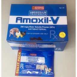 Amoxil V 6gx24