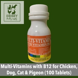 Multi - Vitamins with Vitamin B12